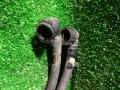 Трубки AdBlue Mercedes-Benz Actros 4 поколение (MP4) 2012, 12.8 л., OM 471.909, дизель, АКПП, 9305010382 - фото №5