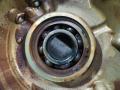 прочая запчасть Scania 4-Series 2002, 11.7 л., DC 12.01, дизель, 1404505 - фото №6