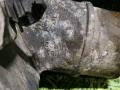 корпус термостата IVECO Stralis 2 поколение 2009, дизель, МКПП, 504238777, 907244, 7.60250, 500381350 - фото №7