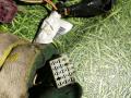 дверная проводка Renault Premium 2 поколение 2007, 10.8 л., DXi 11 450, дизель, МКПП, грузовик, 7420853163 - фото №2