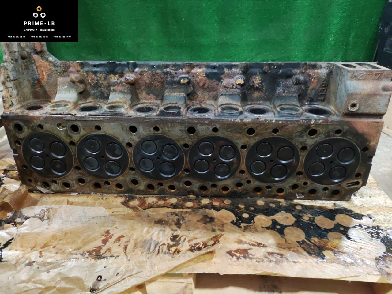 головка блока цилиндров Renault T-Series 1 поколение 2014, дизель, АКПП, 21379389, 7421379389 - фото №1