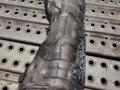 прочая запчасть MAN TGX 1 поколение 2016, 12.4 л., D 2676 LF 52, дизель, АКПП, правый руль, 51081200412 - фото №3