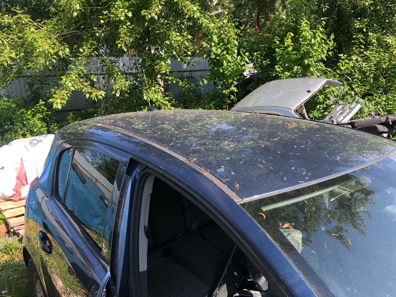 крыша Opel Corsa D 2008, хетчбэк 5 дв., 13183239, 93189159, 93189160 - фото №1