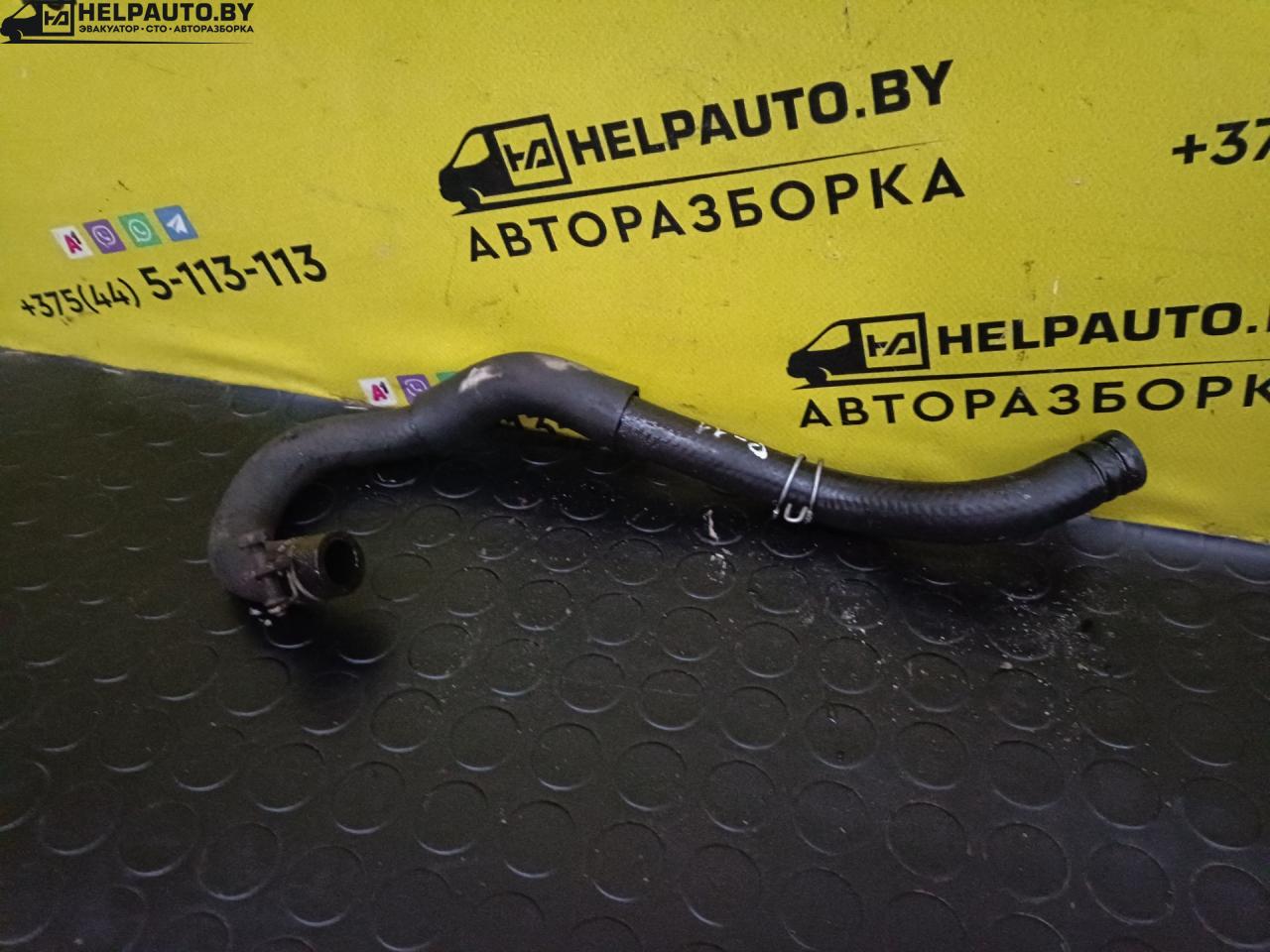патрубок радиатора Nissan Primera P11 1998, 1.6 л., i, бензин, МКПП, хетчбэк 5 дв., передний привод - фото №1