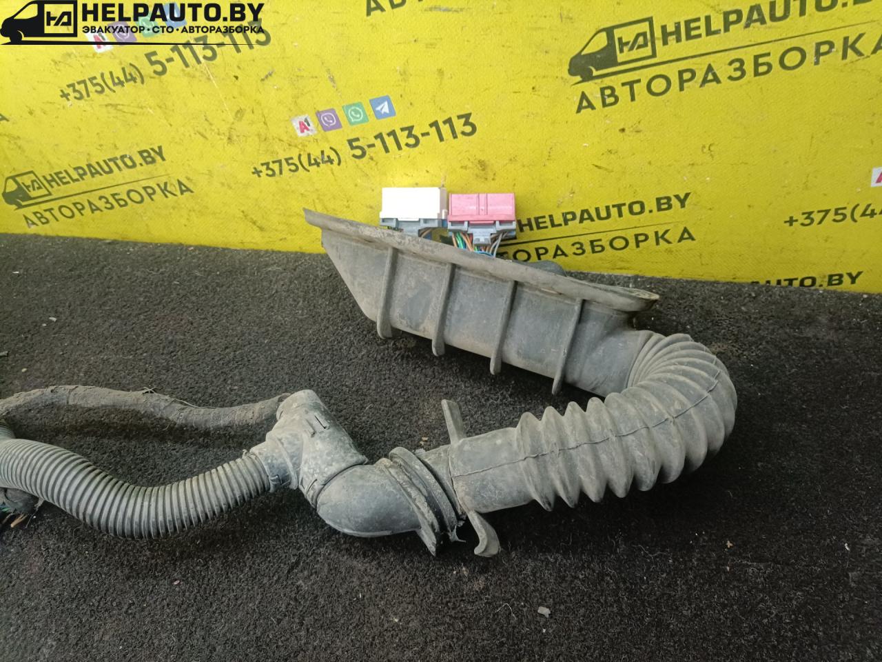 проводка двигателя Opel Vectra B 1998, 1.6 л., i, бензин, МКПП, универсал, передний привод, X16XEL - фото №1