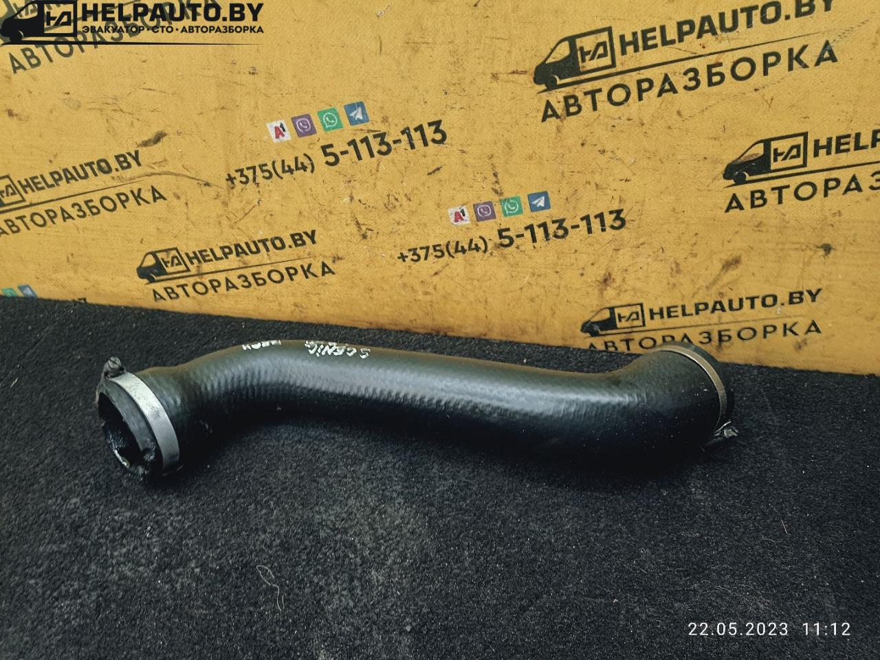 патрубок интеркулера Renault Scenic 1 поколение 1998, 1.9 л., дизель, МКПП, серый, минивэн - фото №1