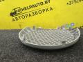 сетка на динамик Renault Scenic RX4 1 поколение 2003, 2.0 л., F4R 744, бензин, МКПП, синий, внедорожник 5 дв. - фото №3