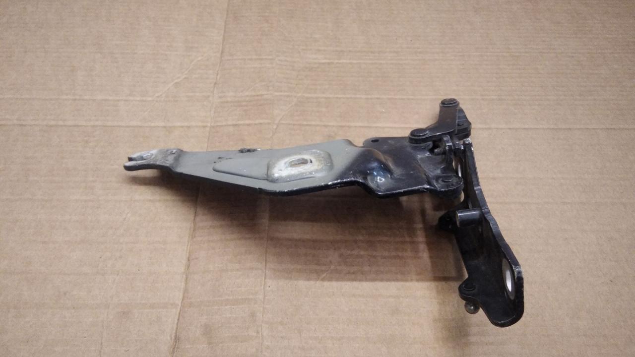 петля капота правая BMW X5 E70 2009, 3.0 л., M57 D30 (306D5), дизель, АКПП, внедорожник 5 дв., 7208628 - фото №1