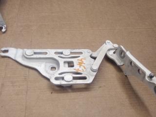 петля капота левая BMW X5 E70 2007, 4.8 л., бензин, АКПП, внедорожник 5 дв., 7148347