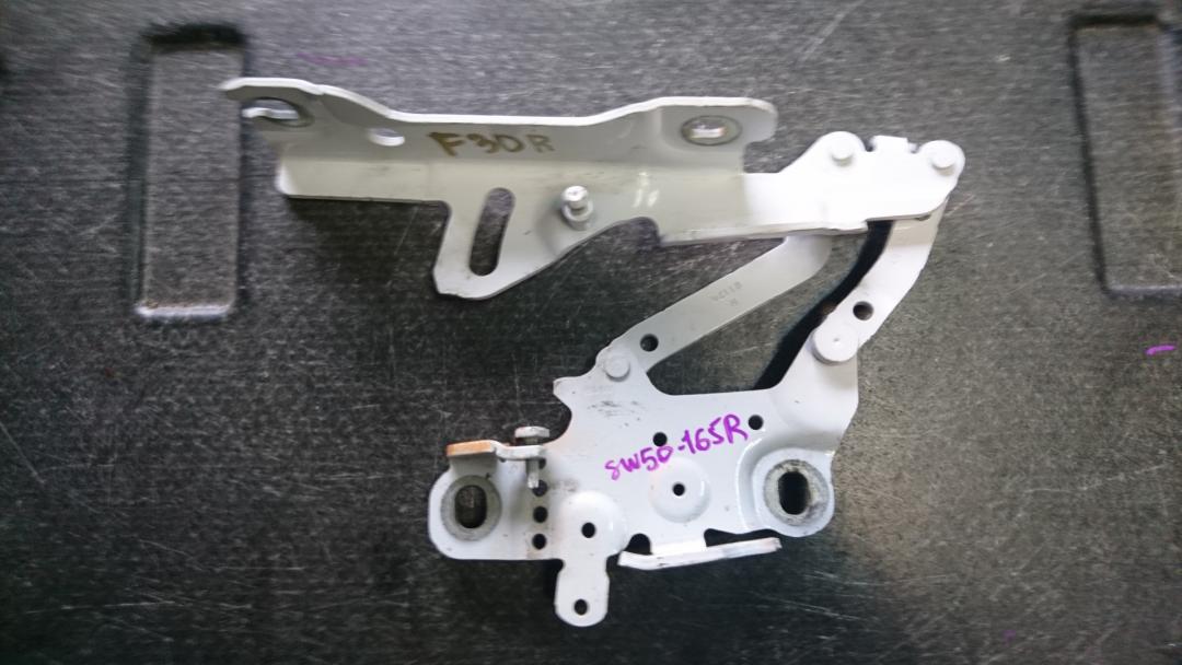петля капота правая BMW 3 серия F30/F31/F34 2013, 3.0 л., N57 D30 A, дизель, АКПП, седан, 7336700 - фото №1
