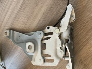 петля капота правая BMW X6 E71 [рестайлинг] 2013, 3.0 л., N57 D30 A, дизель, АКПП, внедорожник 5 дв., 7148348