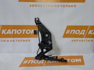 петля капота правая BMW X5 E70 (2006 - 2010), 41007198618, 714834811, 7198618, 41617208630