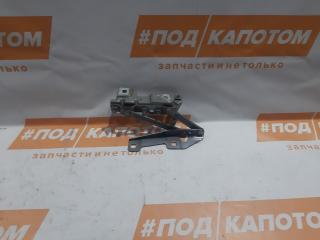 петля капота левая Opel Insignia 1 поколение (A) (2008 - 2014), 12841600