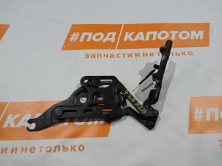 петля капота правая BMW X5 E70 2007, 4.8 л., N62 B48 B, бензин, АКПП, 475, внедорожник 5 дв., полный привод, 7148348