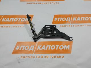 петля капота левая BMW X5 E70 2007, 4.8 л., N62 B48 B, бензин, АКПП, 475, внедорожник 5 дв., полный привод, 7148347