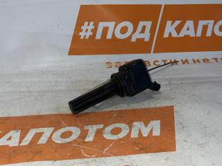 катушка зажигания Chevrolet TrailBlazer 1 поколение 2006, 4.2 л., LL8, бензин, АКПП, praimary black, внедорожник 5 дв., полный привод, 12596547