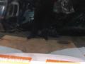 капот Volkswagen Touareg 1 поколение 2005, 4.2 л., AXQ, бензин, АКПП, z4 / c9z, внедорожник 5 дв., полный привод, 7L6823031D, 7L6823155D - фото №6