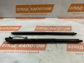 комплект электропривода крышки багажника Ford Kuga 2 поколение 2013, 1.6 л., JTMA, бензин, АКПП, frozen white, внедорожник 5 дв., полный привод, CV44S402A55AC, CJ54S402A74AC, 7A1A7843102AM - фото №9