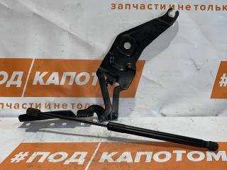 петля капота левая BMW X5 E70 2009, 4.8 л., N62 B48 B, бензин, АКПП, 416, внедорожник 5 дв., полный привод, 7208627-01, 41007198617