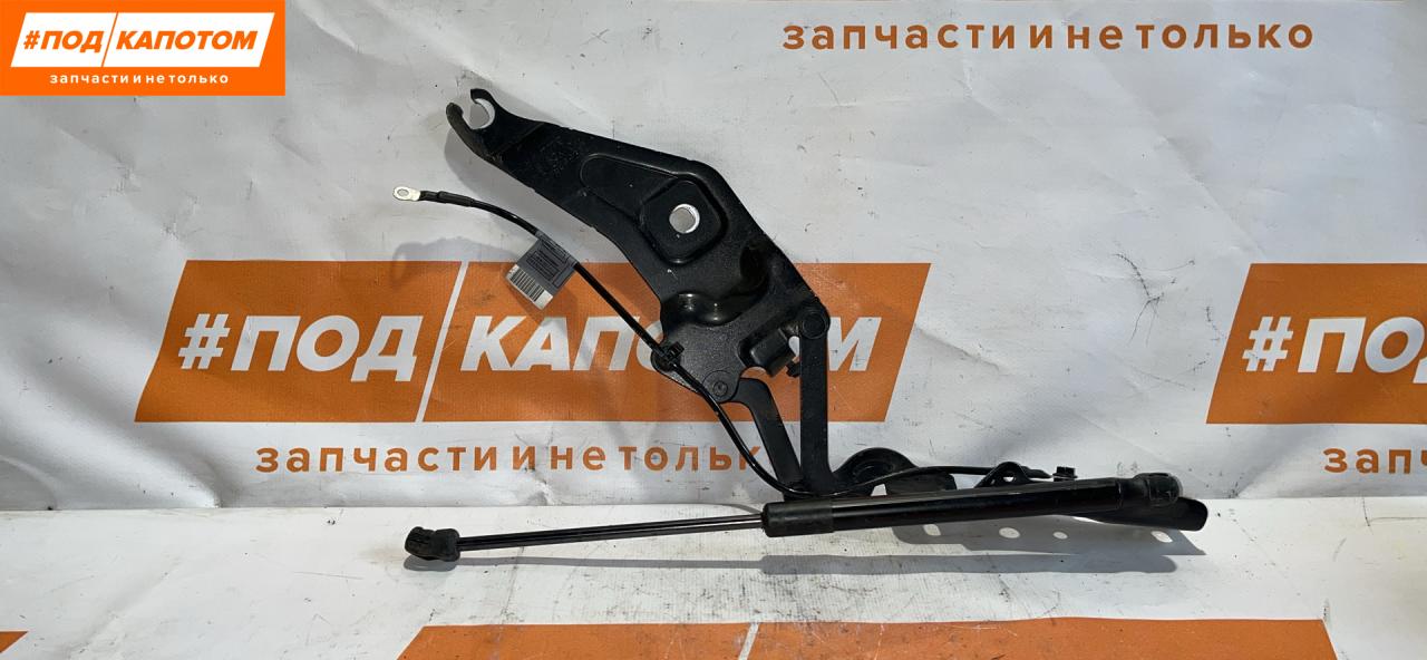 петля капота правая BMW X5 E70 2009, 4.8 л., N62 B48 B, бензин, АКПП, 416, внедорожник 5 дв., полный привод, 7208628-01, 41007198618 - фото №1