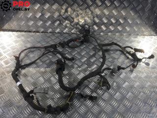 проводка двигателя Opel Astra G 2002, 1.7 л., TDi, дизель, МКПП, универсал