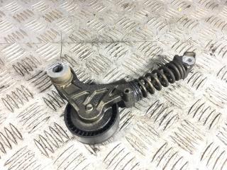 натяжитель Opel Meriva 1 поколение (A) [рестайлинг] 2006, 1.4 л., бензин, МКПП, минивэн, 55352021