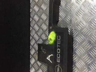 декоративная крышка двигателя Opel Astra G 2002, 2.2 л., TDi, дизель, МКПП, универсал, 24454289