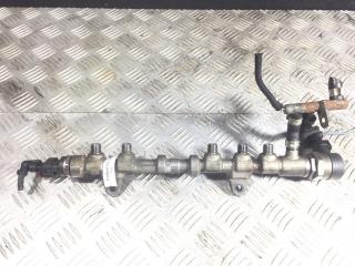 топливная рампа Opel Corsa D [рестайлинг] 2011, 1.3 л., CDTi, дизель, МКПП, хетчбэк 5 дв., 0445214224, 55573467