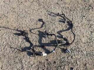 проводка двигателя Opel Vectra C 2005, 2.2 л., Z 22 YH, бензин, МКПП, хетчбэк 5 дв., 55352738