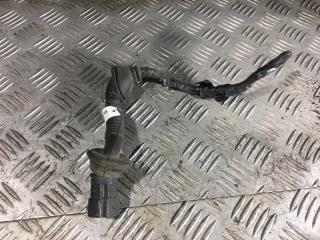 разъем (фишка) проводки Opel Omega B [рестайлинг] (1999 - 2003), 2.5 л., Y 25 DT, дизель, АКПП, седан