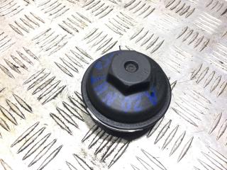 крышка масляного стакана Opel Insignia 1 поколение (A) 2009, 2.0 л., A 20 NHT, бензин, 6МКПП, saphirschwarz / gbg, хетчбэк 5 дв., передний привод, правый руль, 12605565