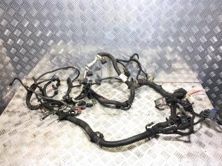 проводка двигателя Opel Insignia 1 поколение (A) 2009, 2.0 л., A 20 NHT, бензин, 6МКПП, saphirschwarz / gbg, хетчбэк 5 дв., передний привод, правый руль, 55566411, 13305377