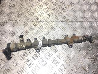 топливная рампа Opel Corsa D [рестайлинг] 2011, 1.3 л., A 13 DTC, дизель, 5МКПП, casablancaweiss / 474, хетчбэк 3 дв., передний привод, правый руль, 0445214224, 55573467