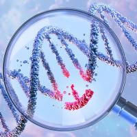 Прорыв в доставке CRISPR: миниатюризация системы генного редактирования