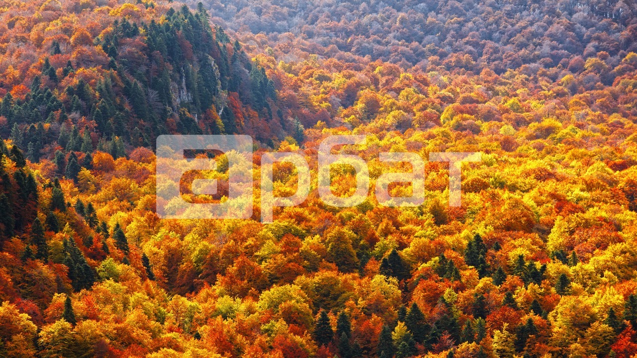 ййййййййййййййй