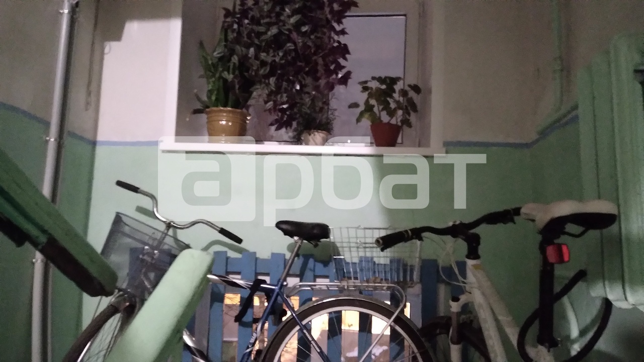 дубна квартиры на дачной. квартира в новосибирске за 500 тысяч рублей. квартиры снимать улица дачная. квартиры снимать улица дачная. квартира снимать заельцовский.