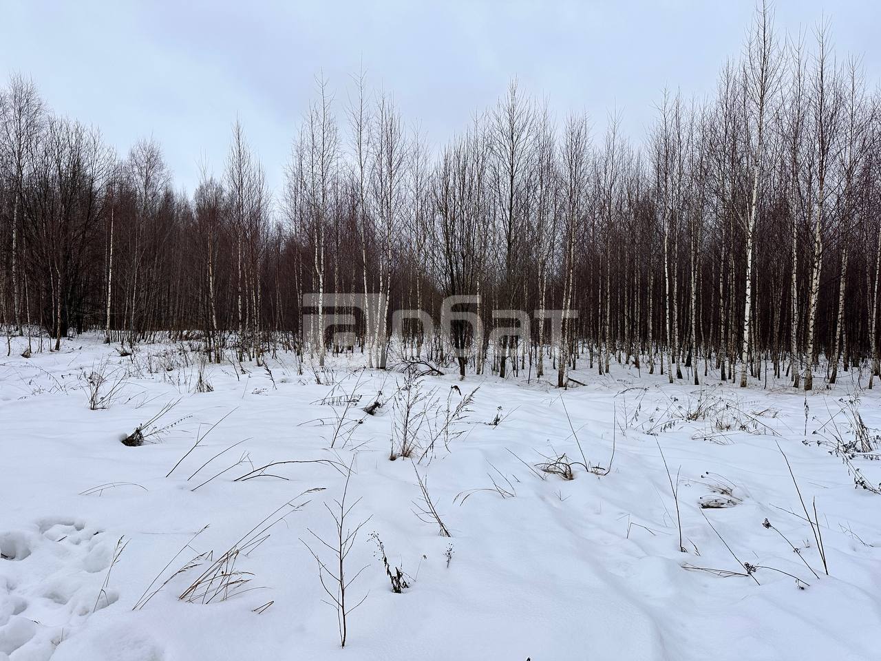 Участок в д. Самсонка