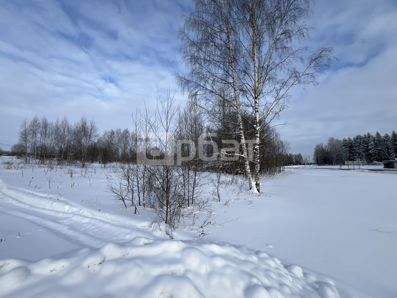 Продам два земельных участка