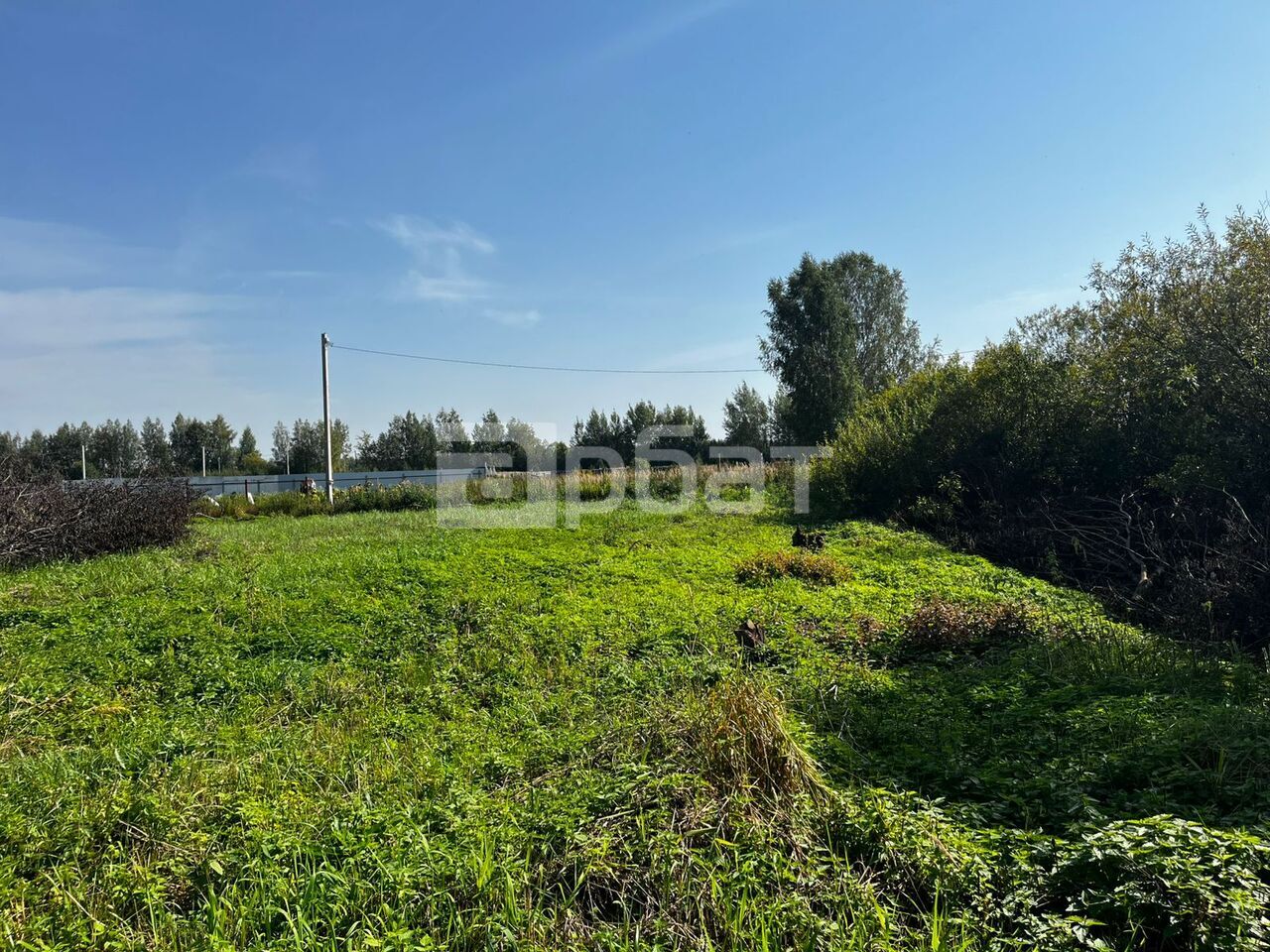 Участок 10,7 сот. (ИЖС)