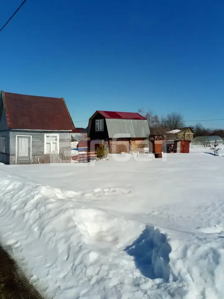 дача  новое елагино 1