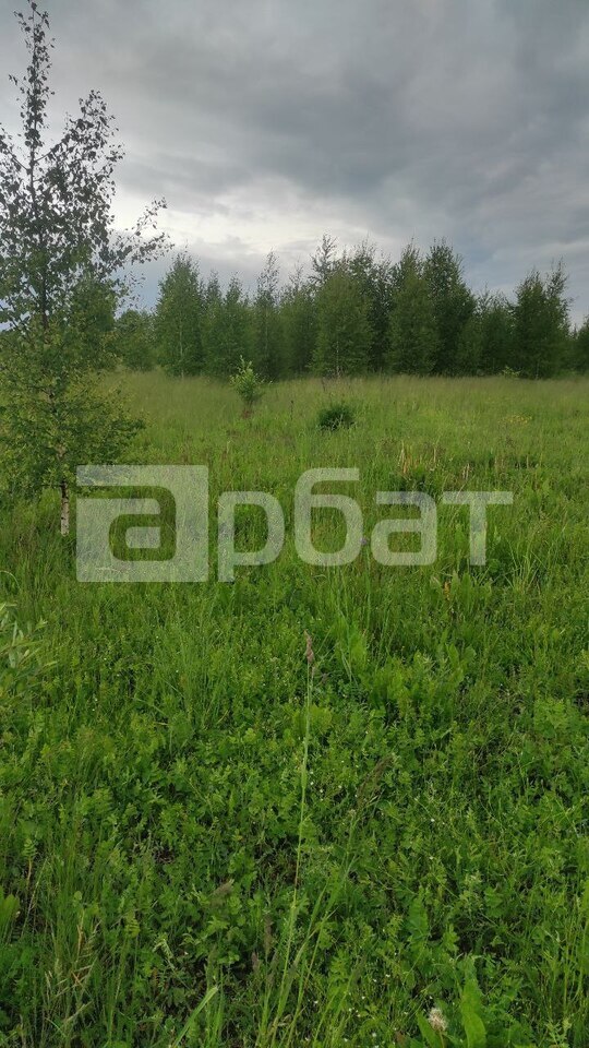 земельный участок