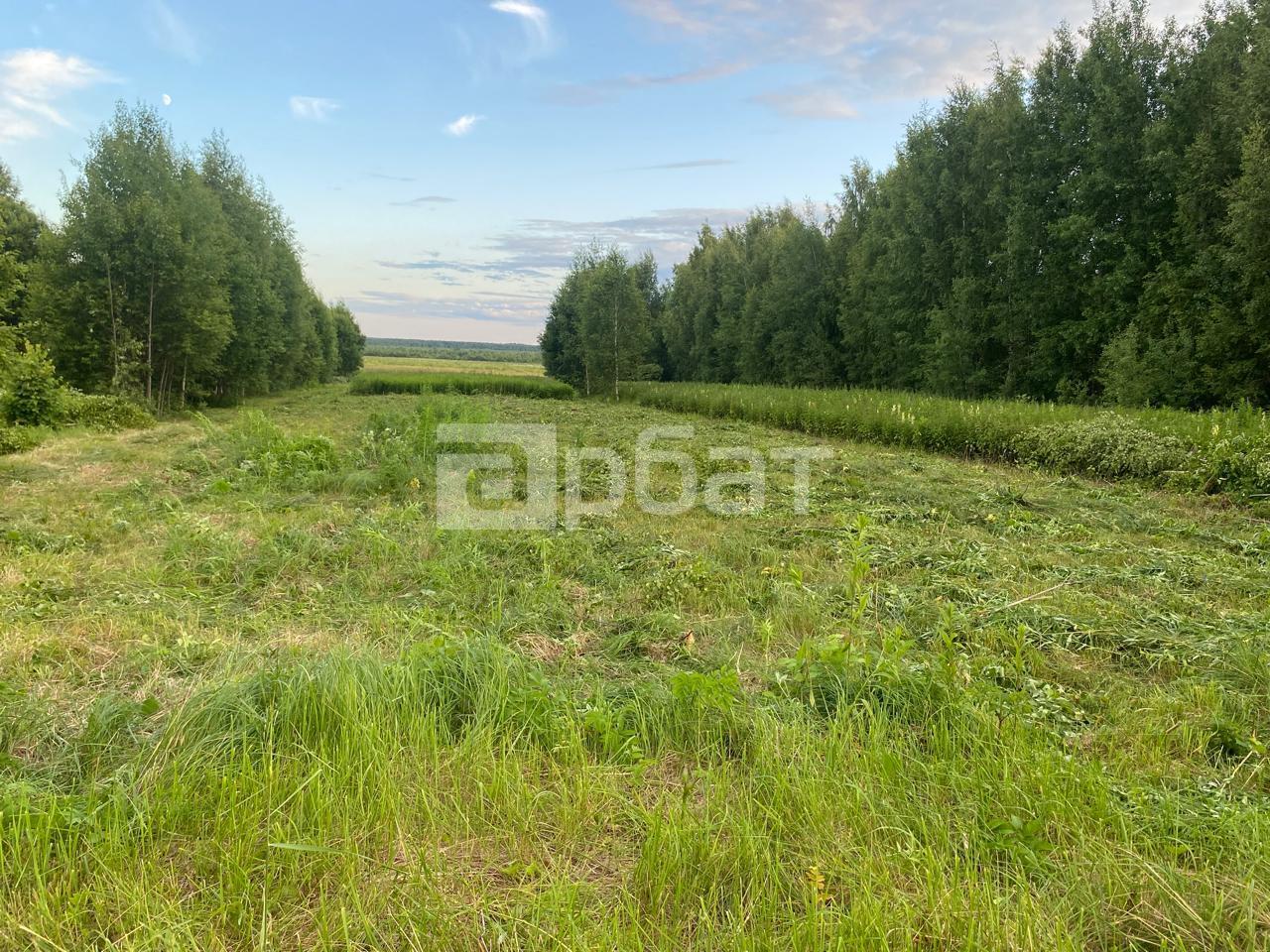 участок 30 соток д. Горки