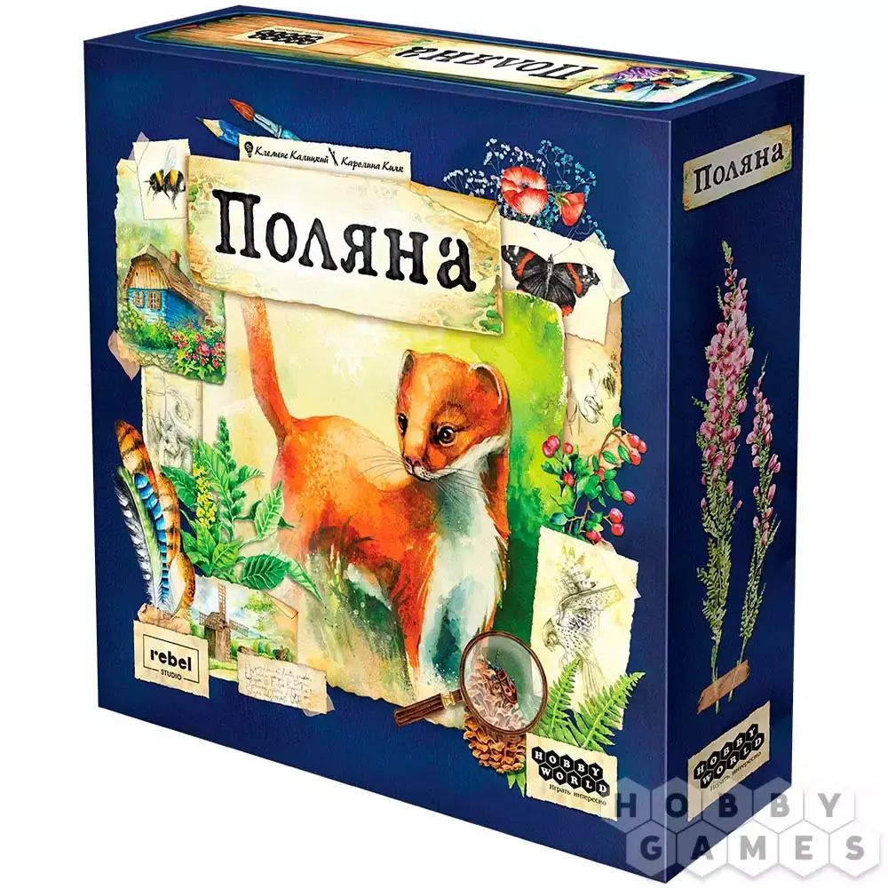 Meadow / Поляна
