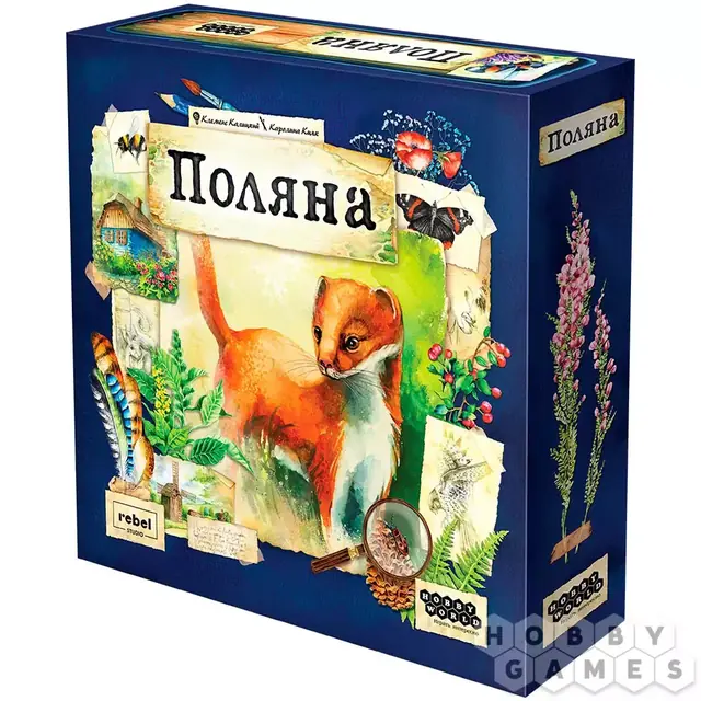 Meadow / Поляна