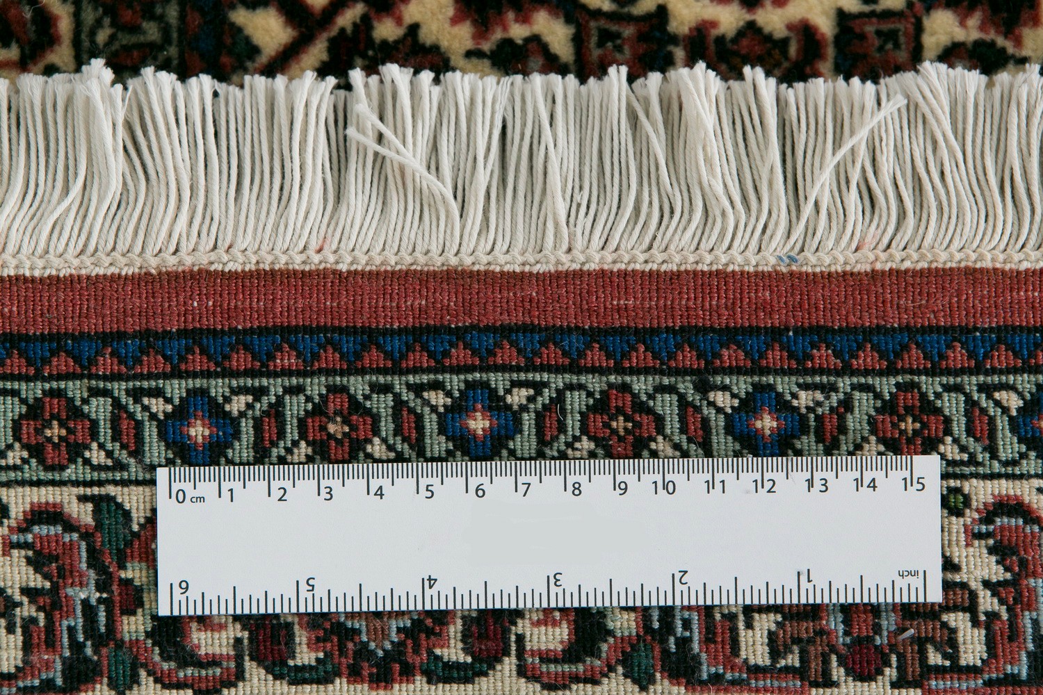 Gallery-6