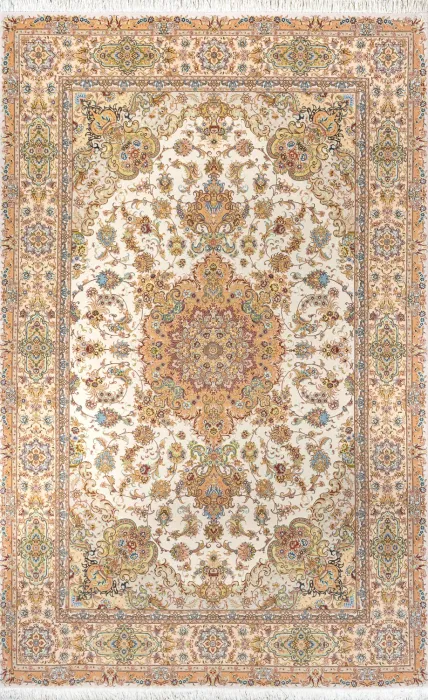 TABRIZ SHIRFAR