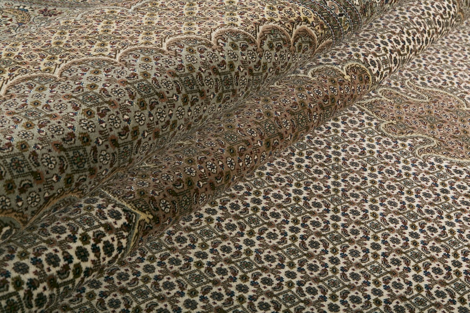 Gallery-4