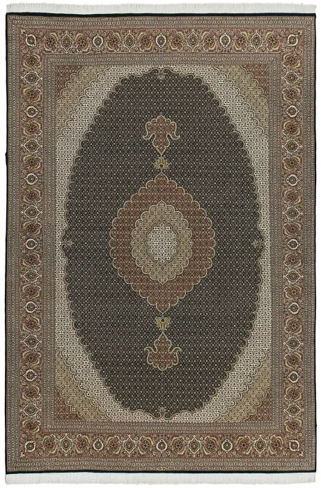 TABRIZ MAHI