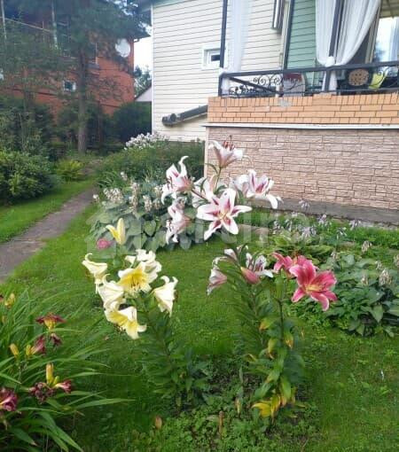 Дом, 303 м2 Одинцово - изображение 5