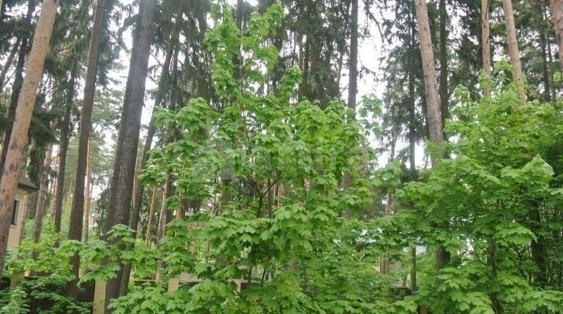 Дом, 80 м2, 8 соток Кратово - изображение 11